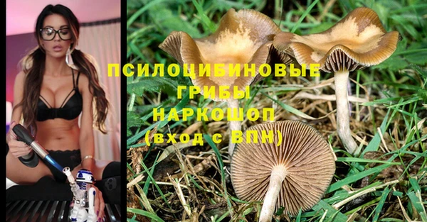мескалин Алексин