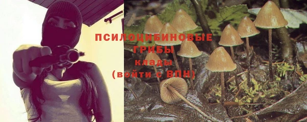 Альфа ПВП Алзамай