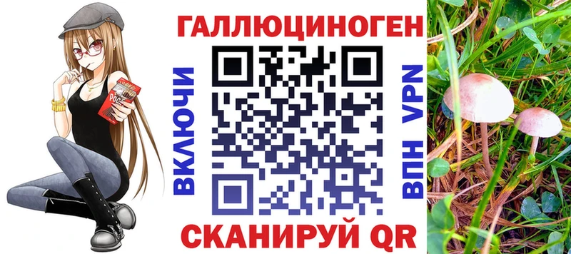 Псилоцибиновые грибы Cubensis хочу Мураши
